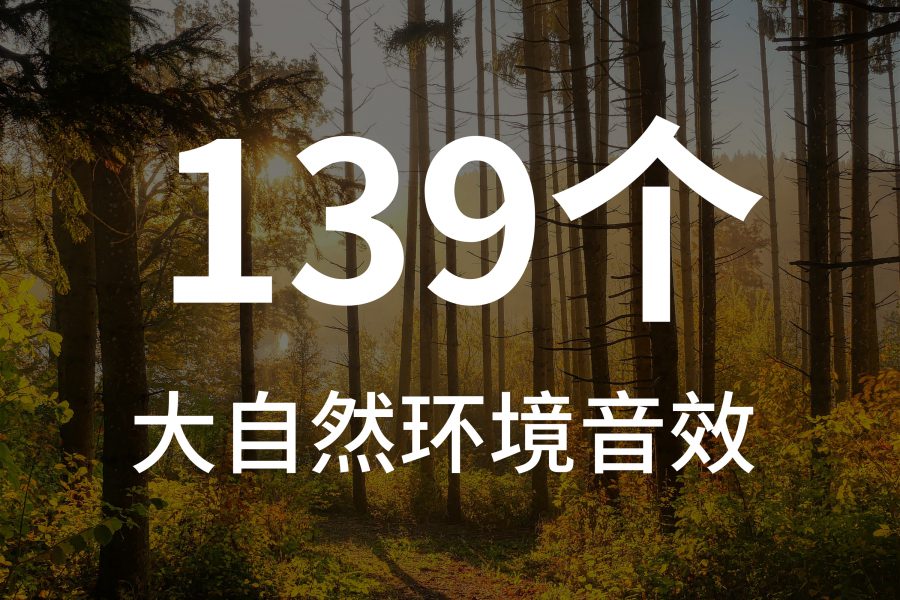 4、139组大自然森林针叶林环境音效素材
