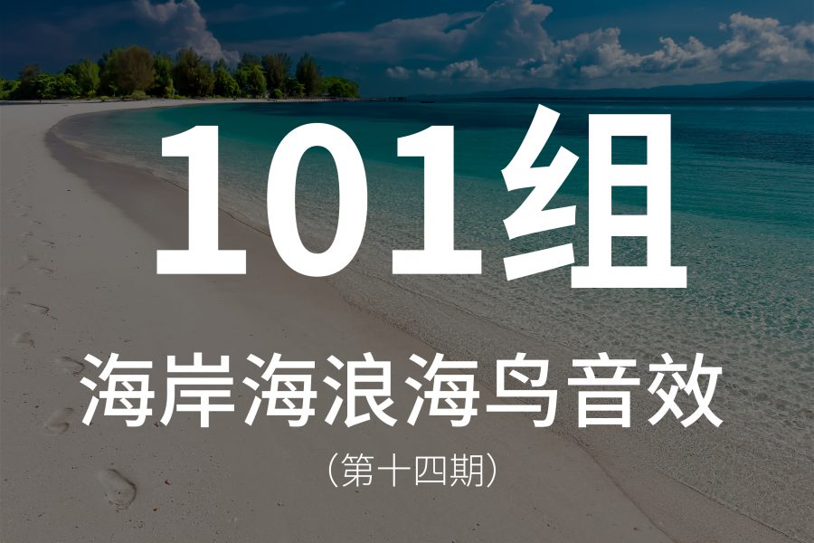 14、101组海岸海浪海鸟海风音效素材