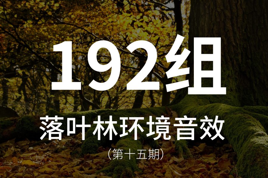 15、192组落叶林环境音效素材，包含鸟叫、风声等等