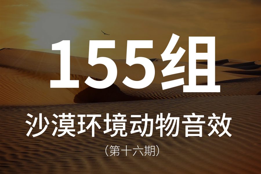 16、155组沙漠环境音效素材