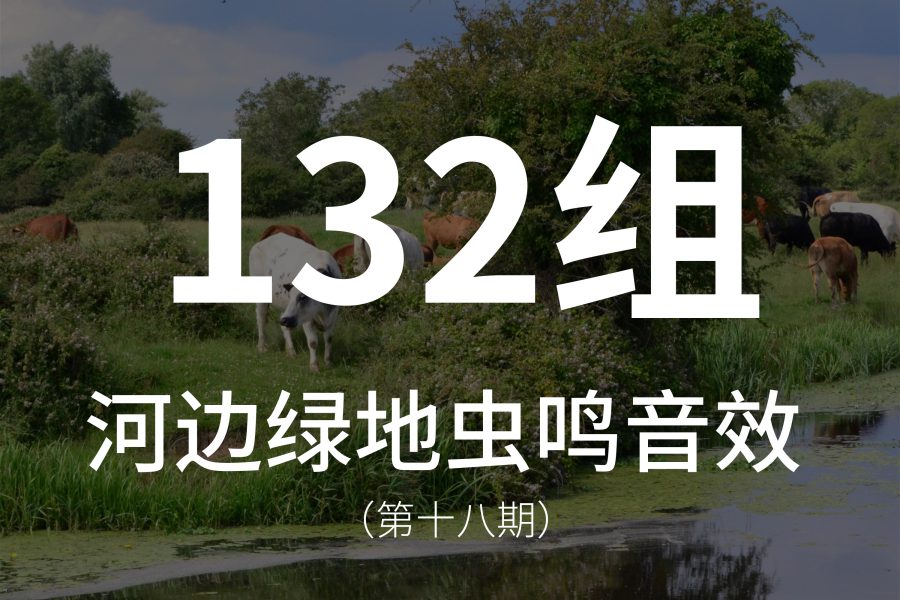 18、132组河边环境音效素材，包含各种动植物、鸟虫叫声！