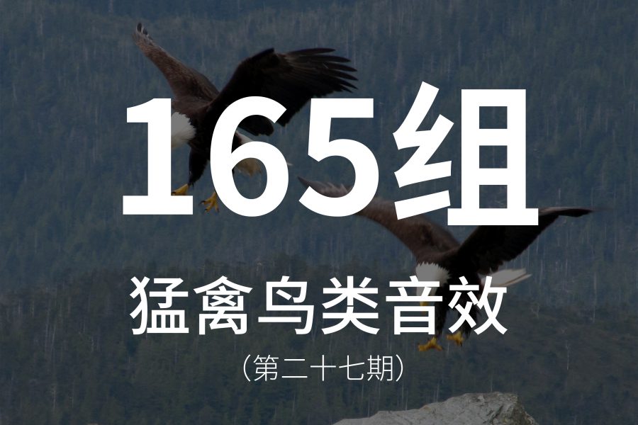 27、165组猛禽鸟类音效素材，主要是大型猛禽的声音！