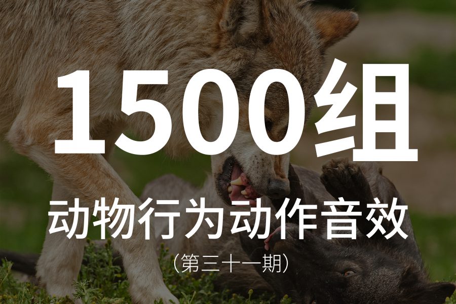 31、1500组动物行为动作音效素材，包含：脚步声，抓挠声，撕咬声，身体跌落声，攻击的声音，运动的声音，翅膀震动的声音等！