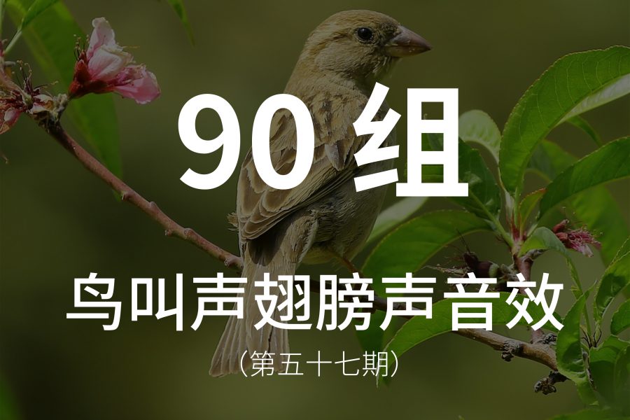 57、90组各种鸟扇动翅膀的声音音效素材！