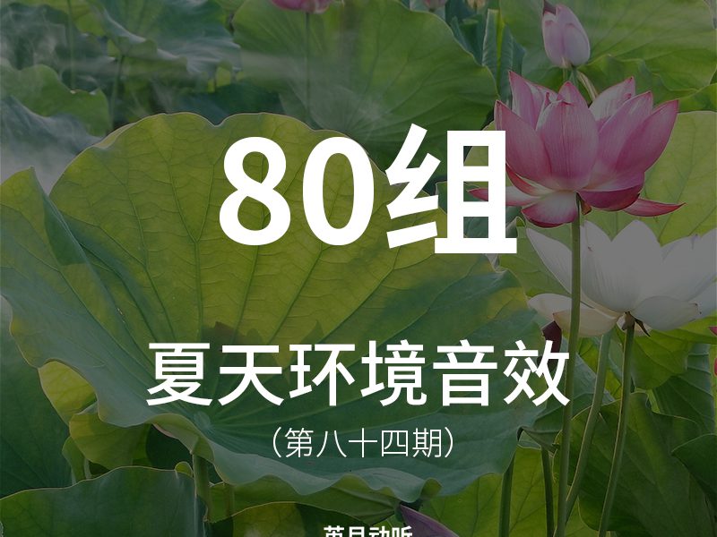 84、80组夏季自然环境音效包，各种夏天昆虫、鸟叫、蟋蟀、蝉鸣、动物叫声，以及在河边、湖边、森林等多个场景下的声音集合！