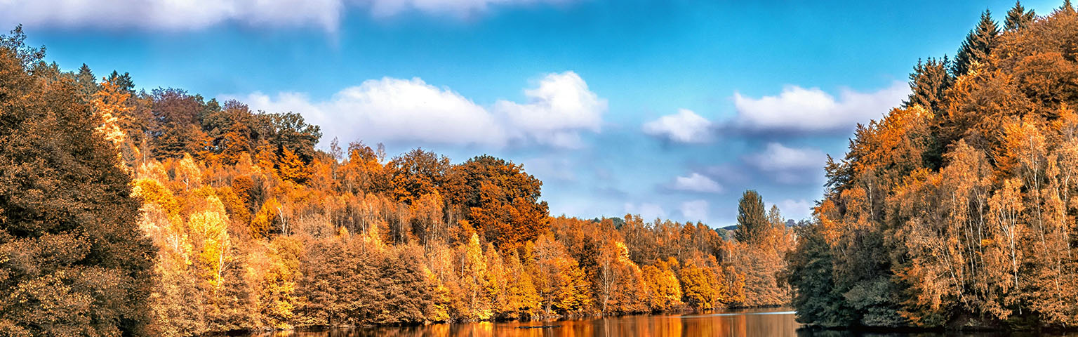 没有找到想要的素材内容？
